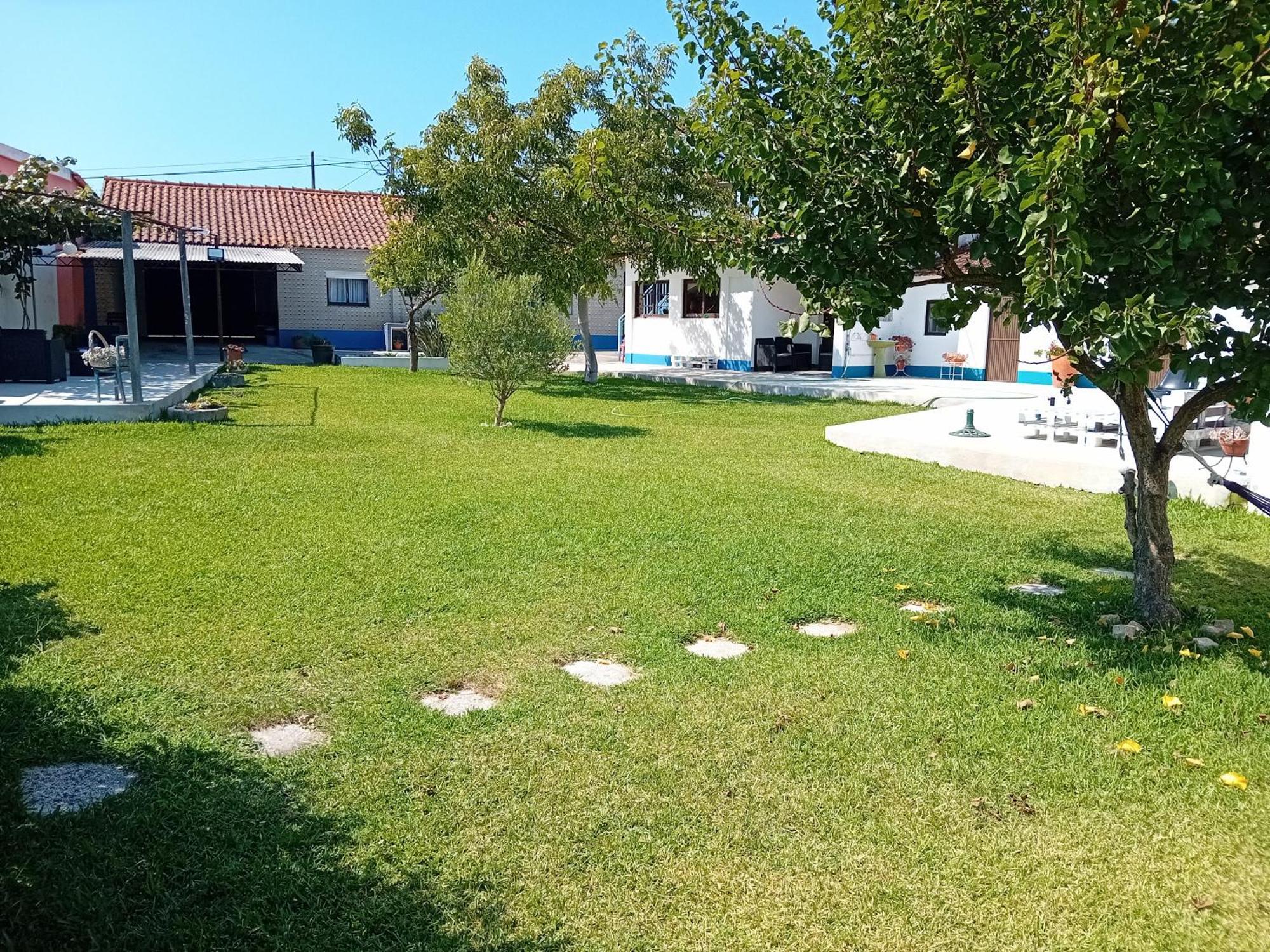 Casa Dos Avos Veras Aveiro Bagian luar foto